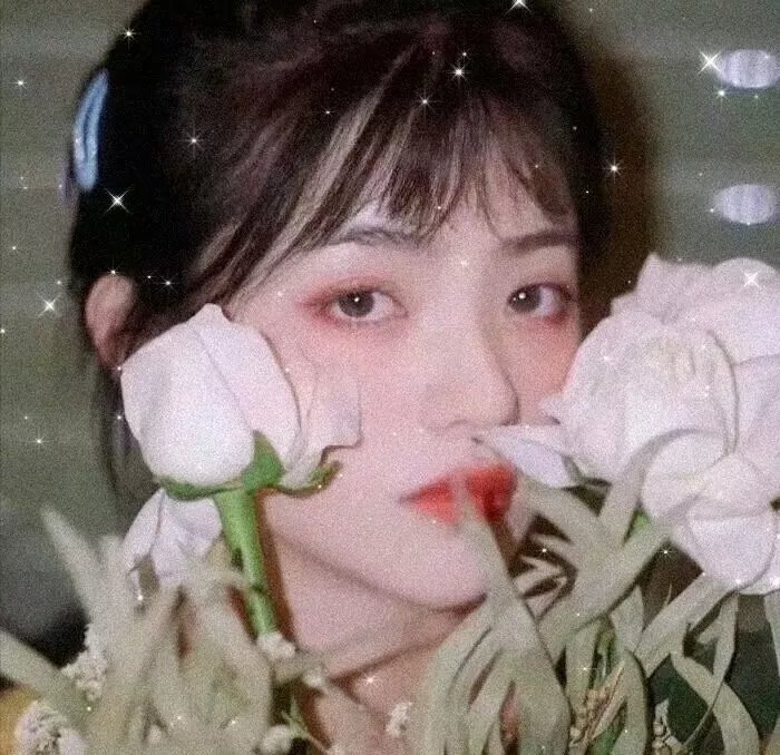 迷失丛林